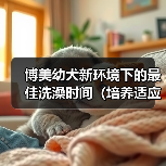 博美幼犬新环境下的最佳洗澡时间(培养适应性的关键) 博美幼犬新环境下的最佳洗澡时间(培养适应性的关键)(图1)