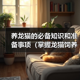 养龙猫的必备知识和准备事项(掌握龙猫饲养全科普,满满的干货为你准备!) 养龙猫的必备知识和准备事项(掌握龙猫饲养全科普,满满的干货为你准备!)(图1)