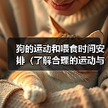 狗的运动和喂食时间安排(了解合理的运动与喂食时间安排,让狗保持健康快乐) 狗的运动和喂食时间安排(了解合理的运动与喂食时间安排,让狗保持健康快乐)(图3)