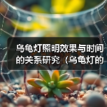 乌龟灯照明效果与时间的关系研究(乌龟灯的使用时长对照明效果的影响及可持续性探讨) 乌龟灯照明效果与时间的关系研究(乌龟灯的使用时长对照明效果的影响及可持续性探讨)(图1)