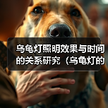 乌龟灯照明效果与时间的关系研究(乌龟灯的使用时长对照明效果的影响及可持续性探讨) 乌龟灯照明效果与时间的关系研究(乌龟灯的使用时长对照明效果的影响及可持续性探讨)(图3)