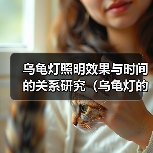 乌龟灯照明效果与时间的关系研究（乌龟灯的使用时长对照明效果的影响及可持续性探讨） - 新生家伴