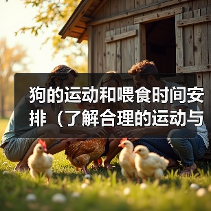 狗的运动和喂食时间安排（了解合理的运动与喂食时间安排，让狗保持健康快乐） - 新生家伴