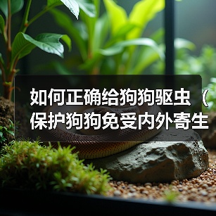 如何正确给狗狗驱虫(保护狗狗免受内外寄生虫侵害,关键在于合理的打针策略) 如何正确给狗狗驱虫(保护狗狗免受内外寄生虫侵害,关键在于合理的打针策略)(图2)