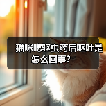 猫咪吃驱虫药后呕吐是怎么回事？ - 新生家伴