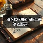猫咪吃驱虫药后呕吐是怎么回事？(图2)