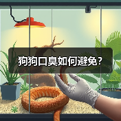 狗狗口臭如何避免？ - 新生家伴