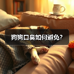 狗狗口臭如何避免？(图4)