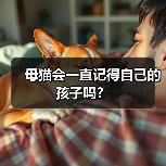 母猫会一直记得自己的孩子吗? 母猫会一直记得自己的孩子吗?(图2)