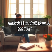 猫咪为什么会模仿主人的行为？(图1)