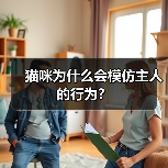 猫咪为什么会模仿主人的行为？ - 新生家伴