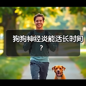 狗狗神经炎能活长时间？ - 新生家伴