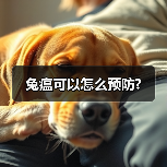 兔瘟可以怎么预防?(图2)