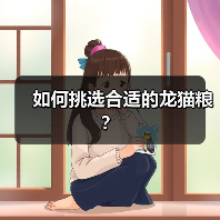 如何挑选合适的龙猫粮？(图2)