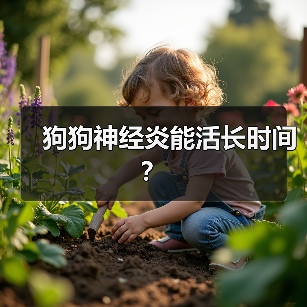 狗狗神经炎能活长时间? 狗狗神经炎能活长时间?(图4)