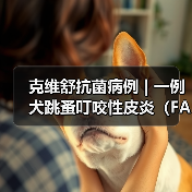 克维舒抗菌病例 | 一例犬跳蚤叮咬性皮炎（FAD）的病例分析(图1)