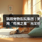 瑞辰宠物医院集团 | 第3周“每周之星”光荣榜 瑞辰宠物医院集团 | 第3周“每周之星”光荣榜(图3)