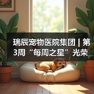 瑞辰宠物医院集团 | 第3周“每周之星”光荣榜 瑞辰宠物医院集团 | 第3周“每周之星”光荣榜(图1)