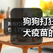 狗狗打狂犬疫苗的重要性(了解狂犬疫苗接种时间,守护宠物健康) 狗狗打狂犬疫苗的重要性(了解狂犬疫苗接种时间,守护宠物健康)(图1)