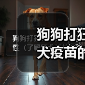 狗狗打狂犬疫苗的重要性(了解狂犬疫苗接种时间,守护宠物健康) 狗狗打狂犬疫苗的重要性(了解狂犬疫苗接种时间,守护宠物健康)(图3)