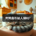 狗狗喜欢被人摸吗? 狗狗喜欢被人摸吗?(图3)