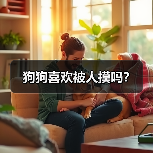 狗狗喜欢被人摸吗？ - 新生家伴