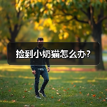 捡到小奶猫怎么办? 捡到小奶猫怎么办?(图2)
