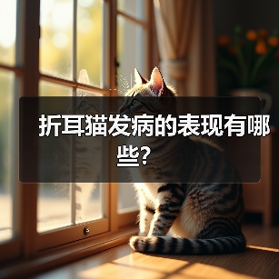 折耳猫发病的表现有哪些？ - 新生家伴
