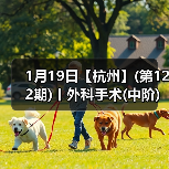 1月19日【杭州】(第122期)丨外科手术(中阶)实战班，2人/组提供一猫一狗，实操超多！(图2)