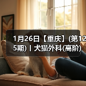 1月26日【重庆】(第125期)丨犬猫外科(高阶)班！含SUB(人人可实操)、乳糜胸等技术！(图3)