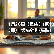 1月26日【重庆】(第125期)丨犬猫外科(高阶)班！含SUB(人人可实操)、乳糜胸等技术！(图4)