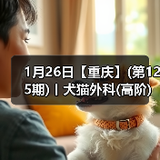 1月26日【重庆】(第125期)丨犬猫外科(高阶)班！含SUB(人人可实操)、乳糜胸等技术！(图1)