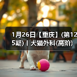 1月26日【重庆】(第125期)丨犬猫外科(高阶)班！含SUB(人人可实操)、乳糜胸等技术！(图2)