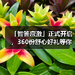 「智答应激」正式开启，360份舒心好礼等你赢！(图1)
