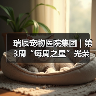 瑞辰宠物医院集团 | 第3周“每周之星”光荣榜(图4)