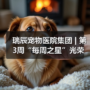 瑞辰宠物医院集团 | 第3周“每周之星”光荣榜 - 新生家伴