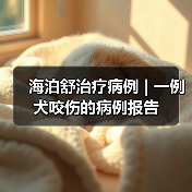 海泊舒治疗病例 | 一例犬咬伤的病例报告(图3)