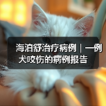海泊舒治疗病例 | 一例犬咬伤的病例报告(图4)