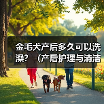 金毛犬产后多久可以洗澡？（产后护理与清洁的关键） - 新生家伴
