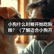 小狗什么时候开始吃狗粮？（了解适合小狗开始吃狗粮的时间和方法）(图4)