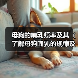 母狗的哺乳频率及其（了解母狗哺乳的规律及喂养注意事项） - 新生家伴