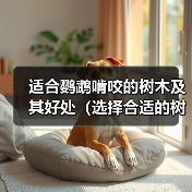 适合鹦鹉啃咬的树木及其好处（选择合适的树木让你的鹦鹉健康快乐）(图4)