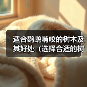 适合鹦鹉啃咬的树木及其好处（选择合适的树木让你的鹦鹉健康快乐）(图2)