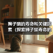 狮子猫的寿命和关键因素（探索狮子猫寿命的长短及其影响因素）(图2)