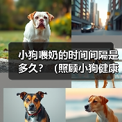 小狗喂奶的时间间隔是多久？（照顾小狗健康成长的关键）(图2)