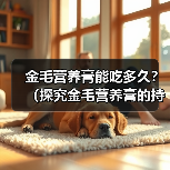 金毛营养膏能吃多久？（探究金毛营养膏的持久效果） - 新生家伴