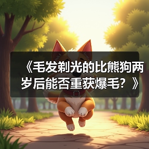 《毛发剃光的比熊狗两岁后能否重获爆毛？》（从无毛到爆毛，比熊狗恢复蓬松毛发的秘密揭秘！）(图2)