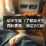 幼犬生病（了解幼犬生病的表现，保证它们的健康和幸福）(图4)