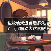 边牧幼犬进食后多久拉？（了解幼犬饮食规律，掌握适宜便便时间）(图3)