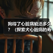 狗得了心脏病能活多久？（探索犬心脏病的寿命和管理方法）(图3)